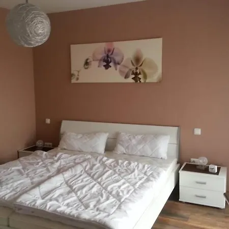 Vislust Modernes Holzhaus Am Ijsselmeer Mit Eigenen Steg بيت للعطل