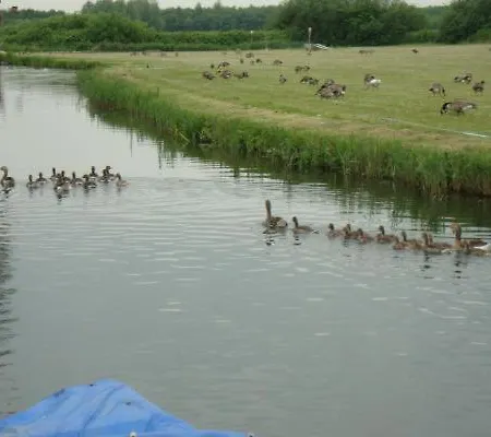 بيت للعطل Vislust Modernes Holzhaus Am Ijsselmeer Mit Eigenen Steg