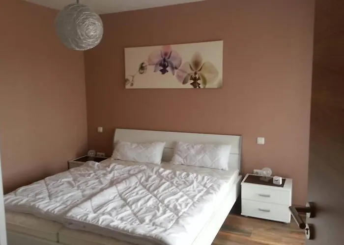 Vislust Modernes Holzhaus Am Ijsselmeer Mit Eigenen Steg Vakantiehuis