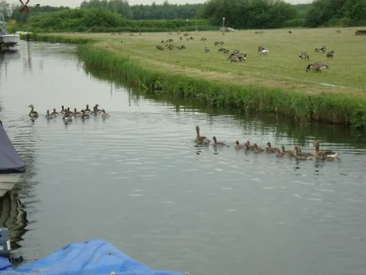 Vakantiehuis Vislust Modernes Holzhaus Am Ijsselmeer Mit Eigenen Steg